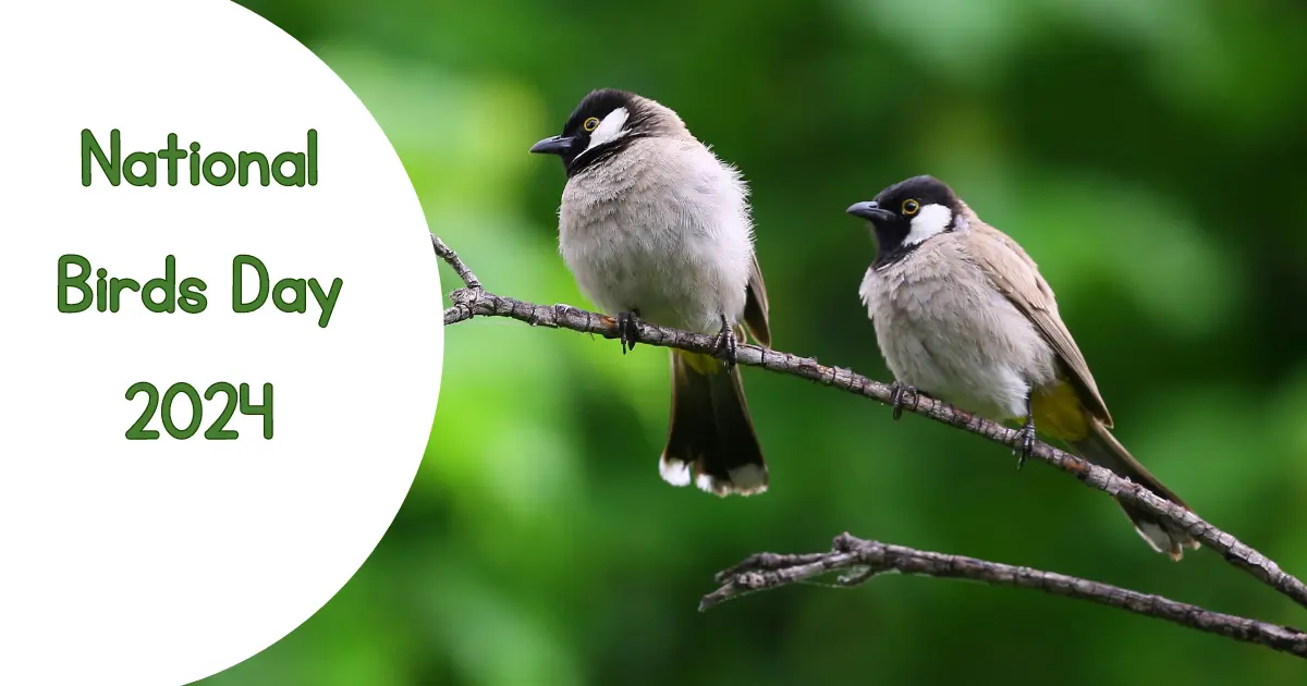 National Birds Day 2024 History, Facts, Celebration and Quotes