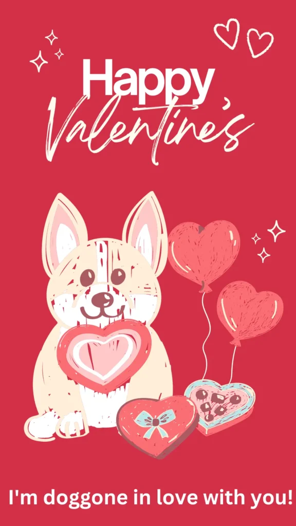Valentine's Day Dog Memes and Captions