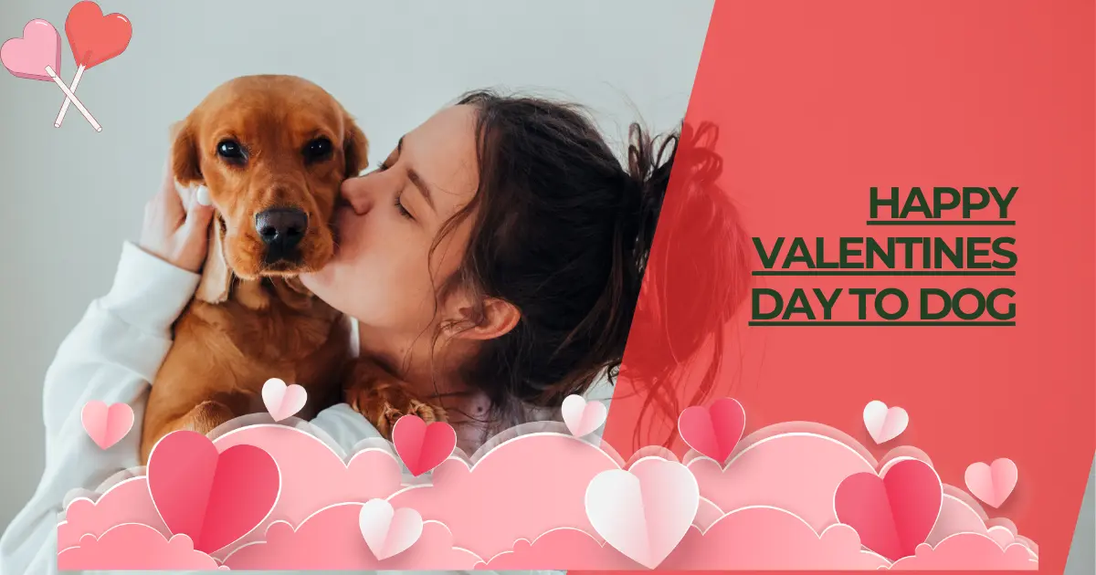 happy valentines day dog